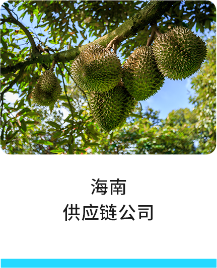 海南