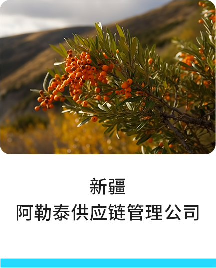 新疆